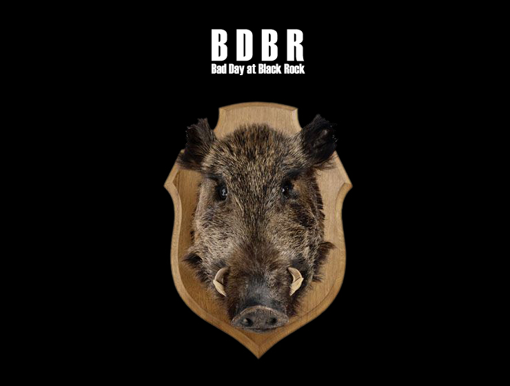 Wild Boar